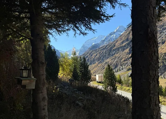 Les Epilobes, * Zinal