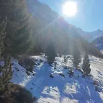 Les Epilobes,